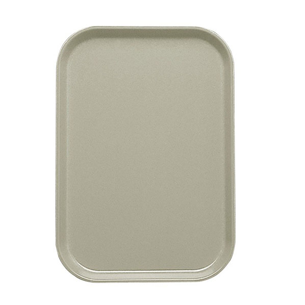 Meal Delivery Trays